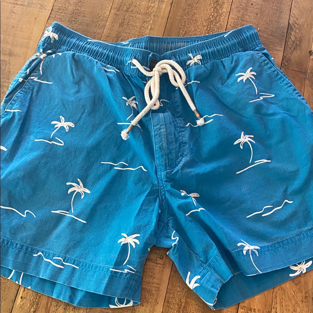 chubbies Blue Palm Tree Swim Shorts
